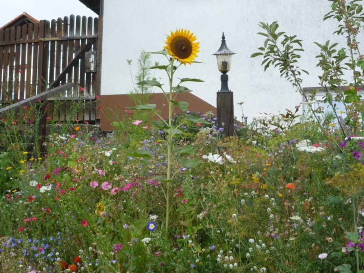 Blumenwiese Weilheim Exterior foto