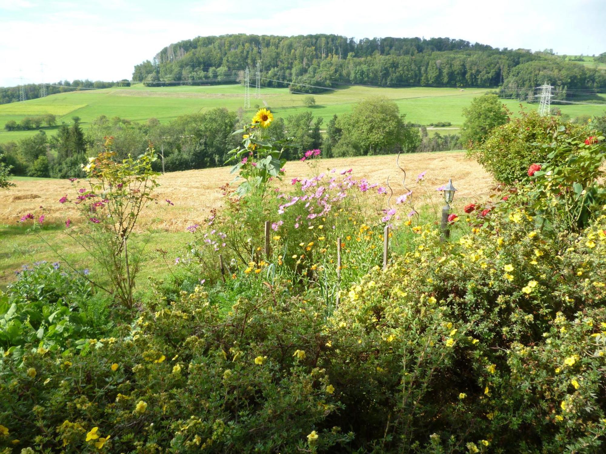 Blumenwiese Weilheim Exterior foto
